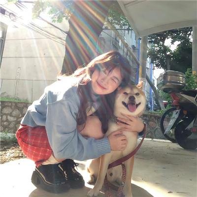 高卢英雄大战凯撒王子